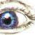 :iconbloo-proverbs356: