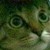 :iconbloo2555: