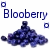 :iconblooberry: