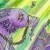 :iconblood-blossom575: