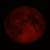 :iconblood-moon54: