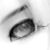 :iconbloodby: