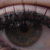 :iconbloodcameraaction: