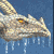 :iconblooddragon: