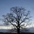 :iconblooddrench:
