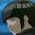 :iconbloodlockkiss: