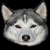 :iconbloodlydawn: