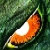 :iconbloodragn: