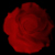 :iconBloodRedFlowers: