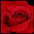 :iconbloodredstock:
