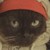 :iconbloodsmei: