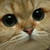 :iconbloodstability: