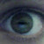 :iconbloodstainedillusion:
