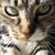 :iconbloodstainedthorns: