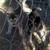 :iconbloodvenomstables: