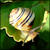 :iconbloody-blossom: