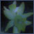 :iconbloody-doll: