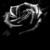:iconbloody-promise:
