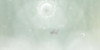 :iconbloody-rose-fans: