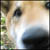 :iconbloodyadorable: