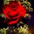 :iconbloodyangel6: