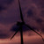 :iconbloodyappleblossom: