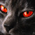 :iconbloodyclaws70: