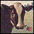:iconbloodydeath9932: