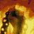 :iconbloodyfallingroses: