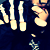 :iconbloodyhoney28: