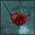 :iconbloodylano: