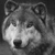 :iconbloodymoon513: