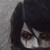 bloodypatch :iconbloodypatch: