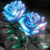 :iconbloodyrose1979:
