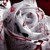 :iconbloodyrose333: