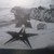 :iconbloodyroseartist: