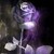 :iconbloodyroses31: