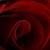 :iconbloodyrosess: