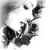 :iconbloodystarster: