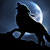 :iconbloodytwlight: