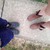 :iconbloodywhitebird: