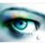 :iconbloomberry: