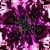 :iconbloomeysgirl: