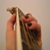 :iconbloorigard: