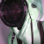 :iconblootheory: