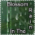 :iconblossomintherain: