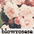 :iconblowroses:
