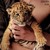 :iconblu-feathered-dragon: