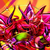 :iconblu-irken: