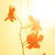 :iconblu-seraph: